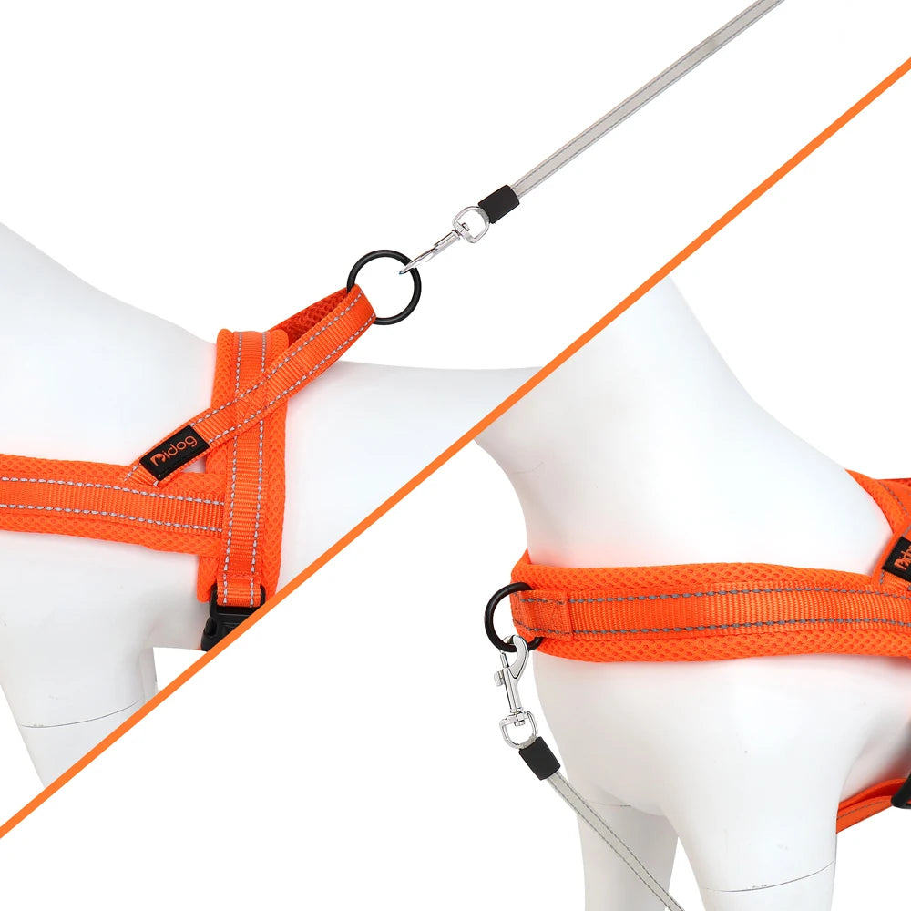 Reflective Harness