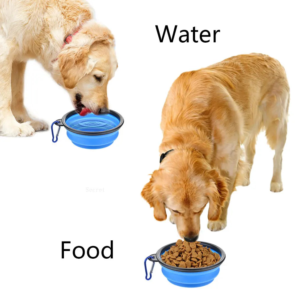Portable water bowl