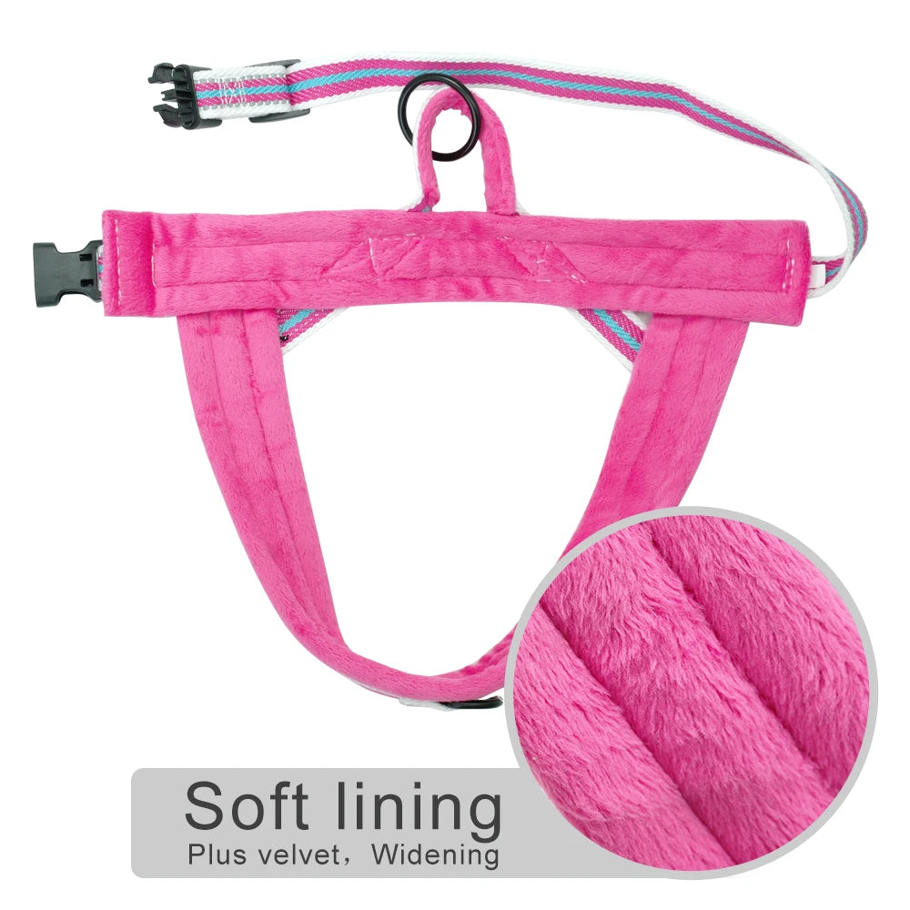 All season dog harness