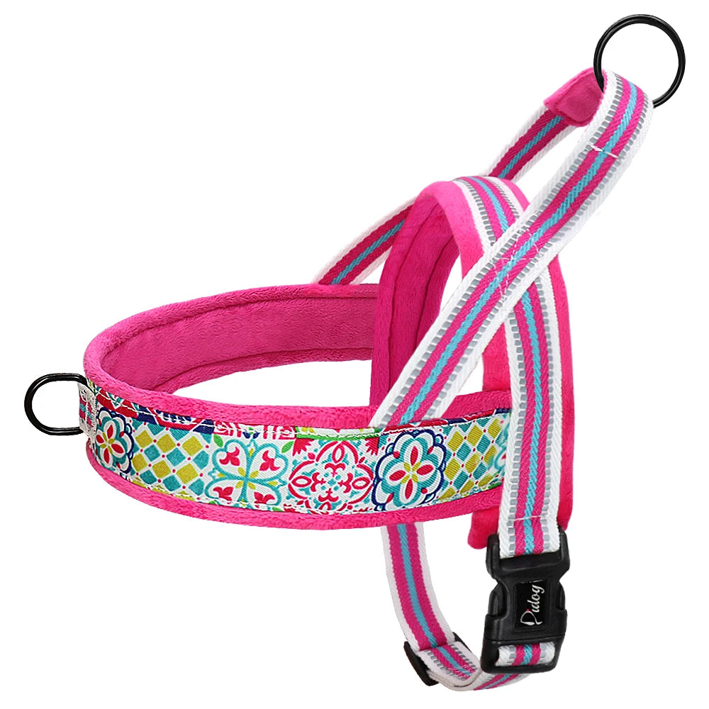 All season dog harness