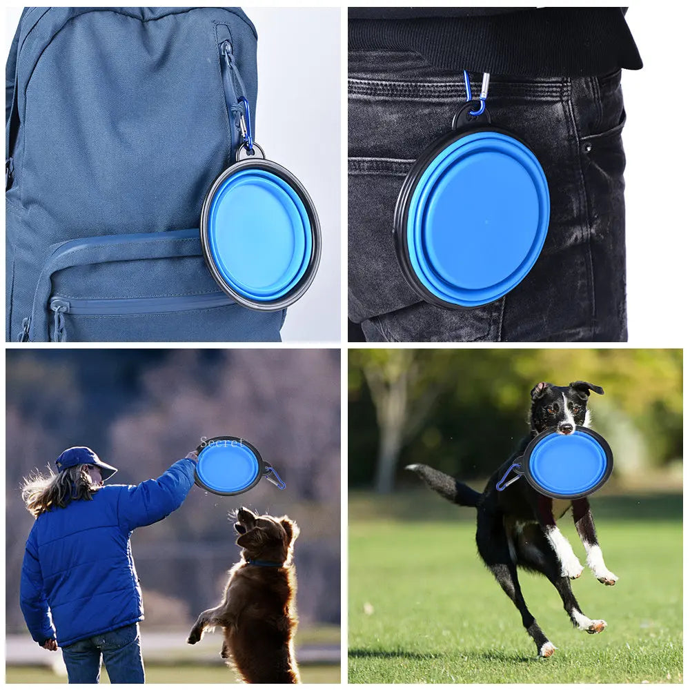 Portable water bowl