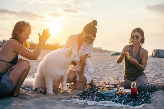 Picnic Date With My Dog