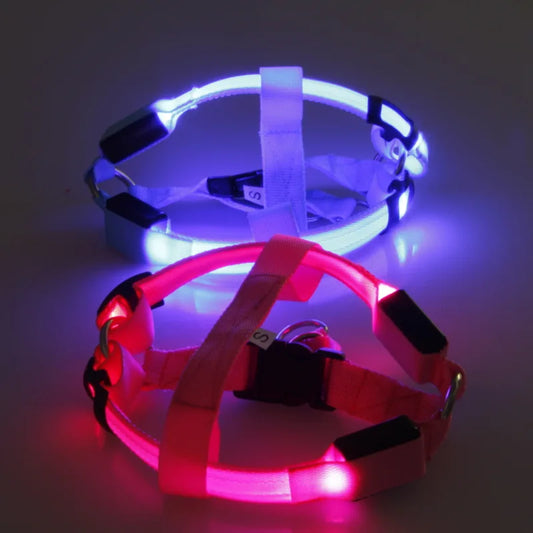 LED Dog Harness for Evening Walks