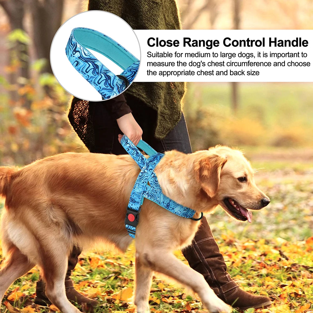 Tropical wave dog harness