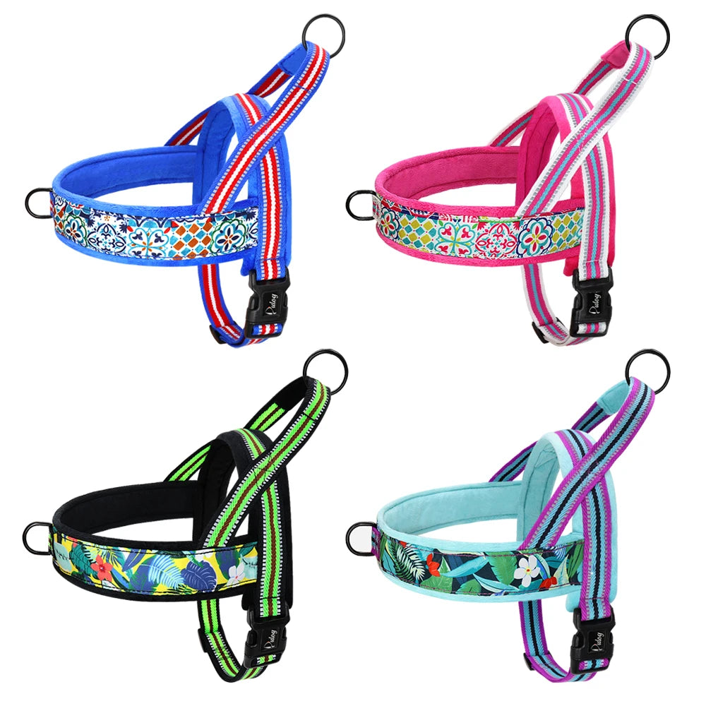 All season dog harness