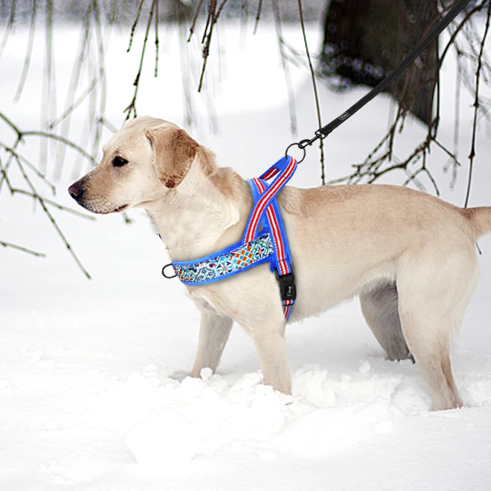 All season dog harness