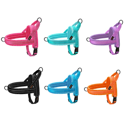 All season dog harness