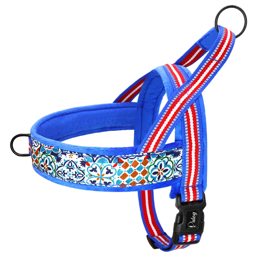 All season dog harness