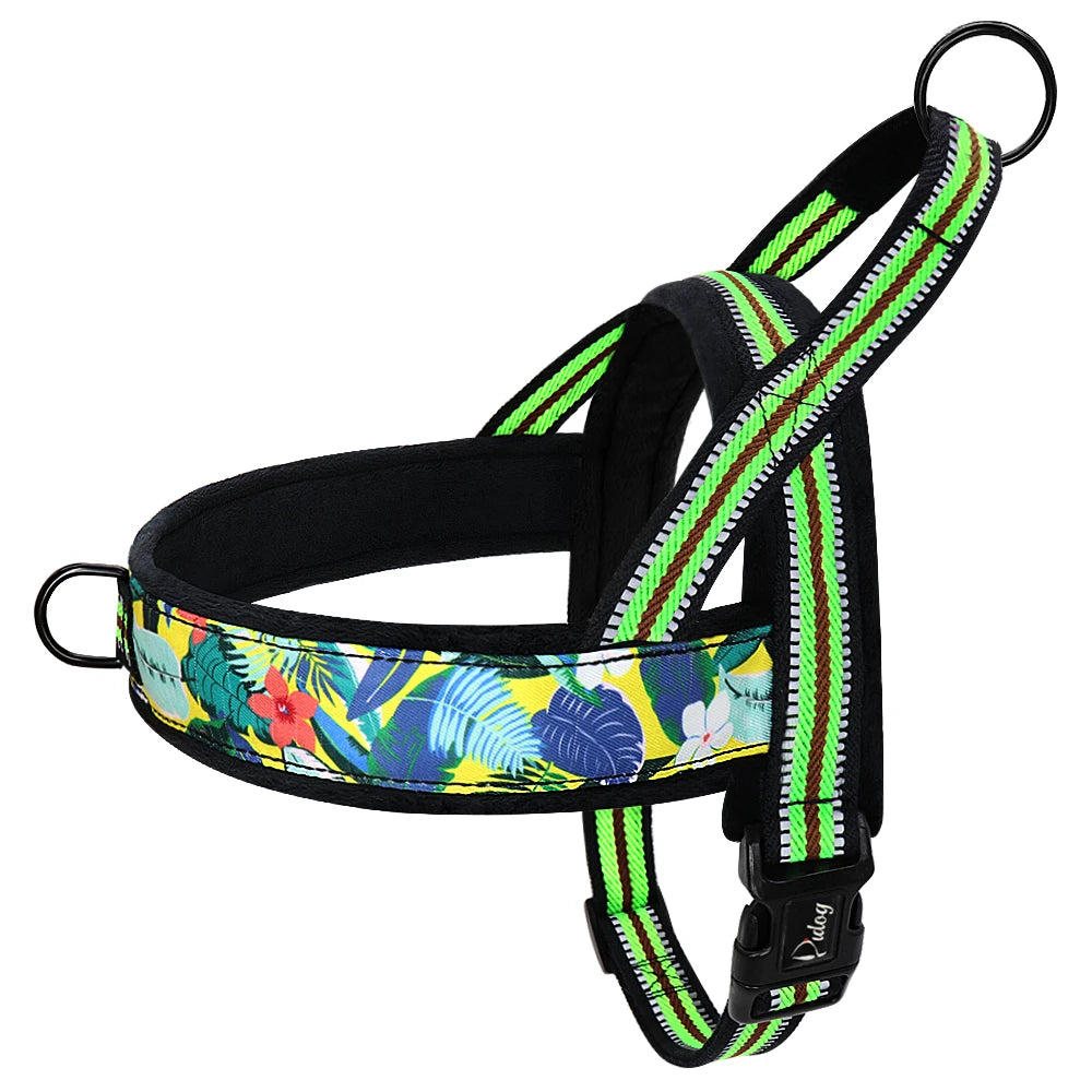 All season dog harness