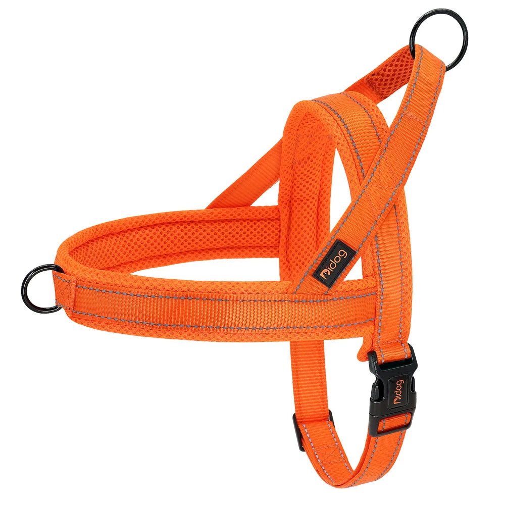 All season dog harness