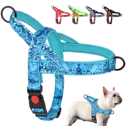 Tropical wave dog harness