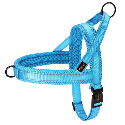 All season dog harness