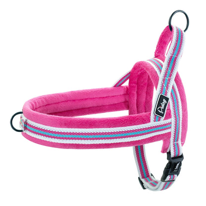 All season dog harness