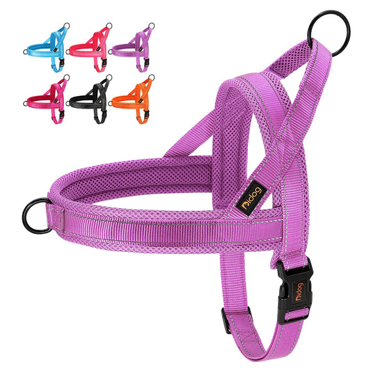 Reflective Harness