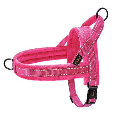 All season dog harness