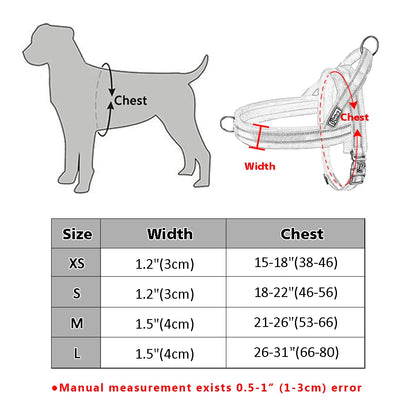 All season dog harness