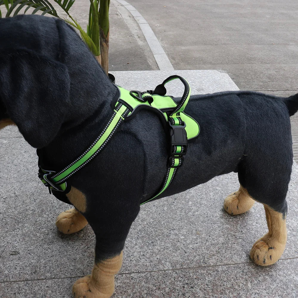 Dog Harness "Starry"