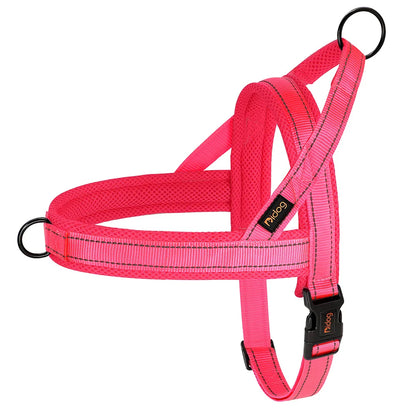 All season dog harness