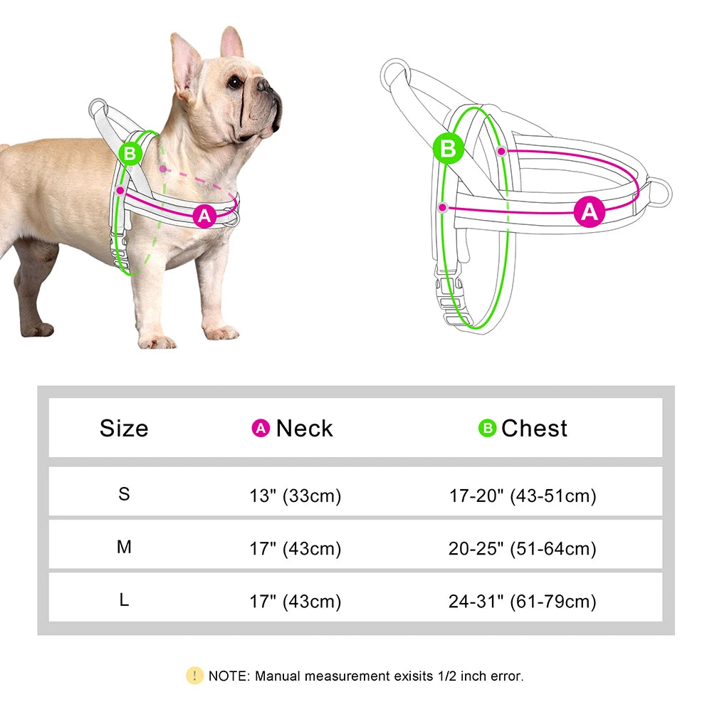 Tropical wave dog harness