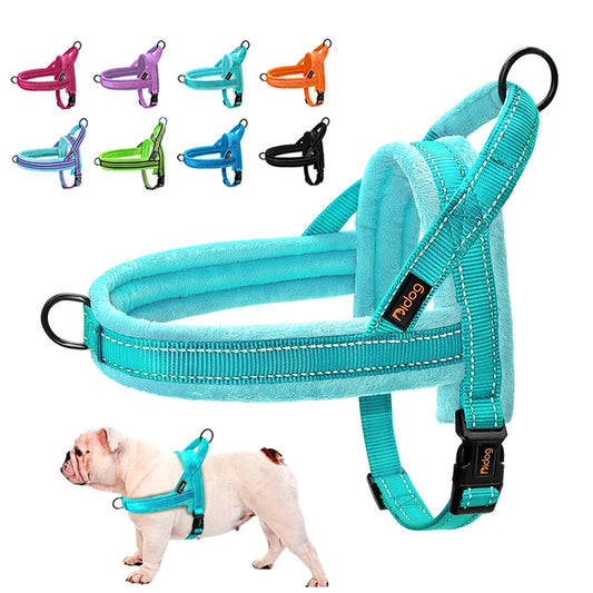 All season dog harness