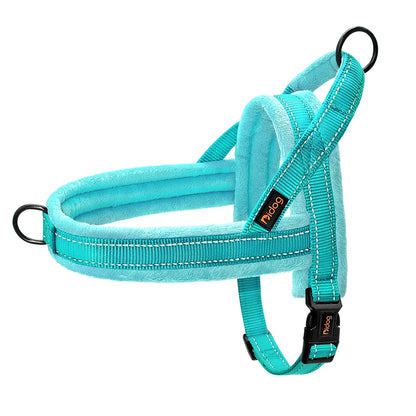 All season dog harness