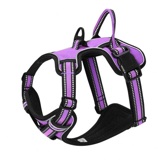 Dog Harness "Starry"