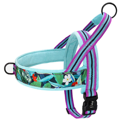 All season dog harness