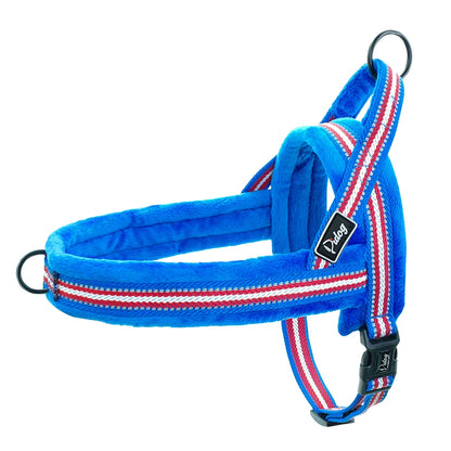 All season dog harness